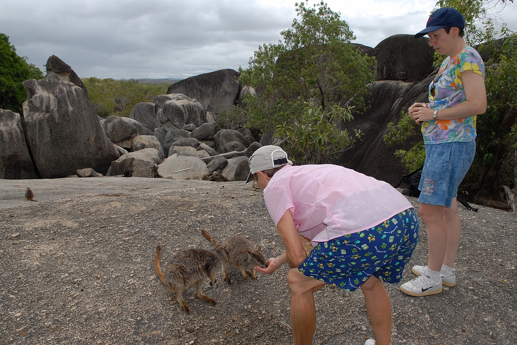 0270 Granite Gorge.jpg